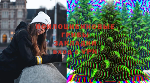 ГАЛЛЮЦИНОГЕННЫЕ ГРИБЫ Наволоки