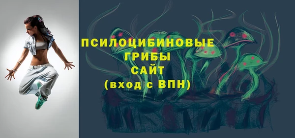 apvp Алексин