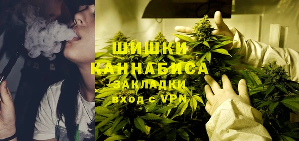 apvp Алексин