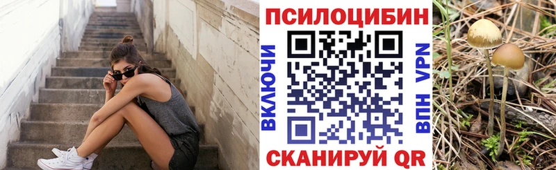 кракен как зайти  что такое наркотик  Ессентукская  Галлюциногенные грибы GOLDEN TEACHER 